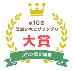 第10回茨城いちごグランプリ大賞 JGAP認定農場